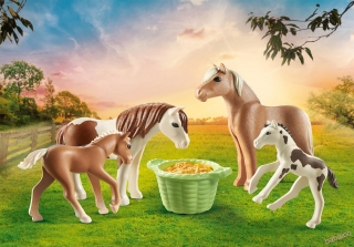 PLAYMOBIL 71000 - 2 Islandskí pony so žriebätkami